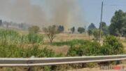 incendio mater olbia lido del sole padrongianus