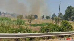 incendio mater olbia lido del sole padrongianus