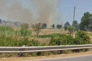 incendio mater olbia lido del sole padrongianus