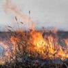 un incendio