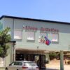 liceo artistico de andré olbia