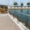 Lucchetti olbia