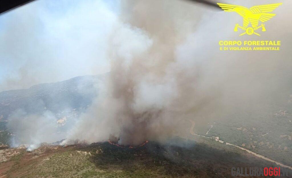 incendio padru nuova foto corpo forestale 31 luglio 2026