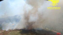 incendio padru nuova foto corpo forestale 31 luglio 2026