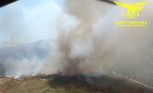 incendio padru nuova foto corpo forestale 31 luglio 2026