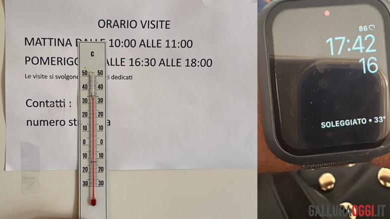 segnalazione arzachena