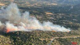stazzu incendio olbia
