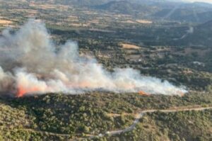 stazzu incendio olbia