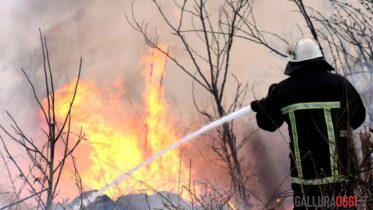 allerta incendi gallura