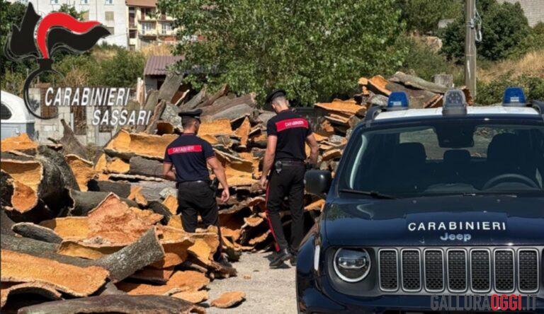 A Buddusò oltre 200mila euro di sughero rubato da terreni comunali