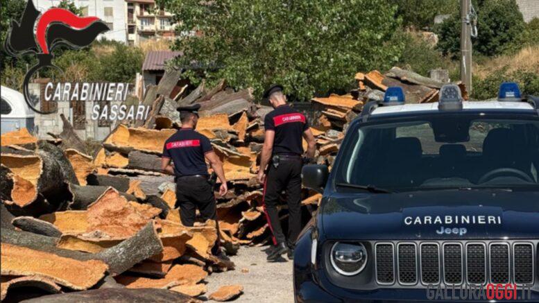 A Buddusò oltre 200mila euro di sughero rubato da terreni comunali