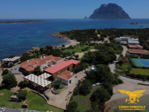sequestro villa joy Cala Finanza corpo forestale