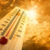 allerta caldo temperature elevate gallura olbia