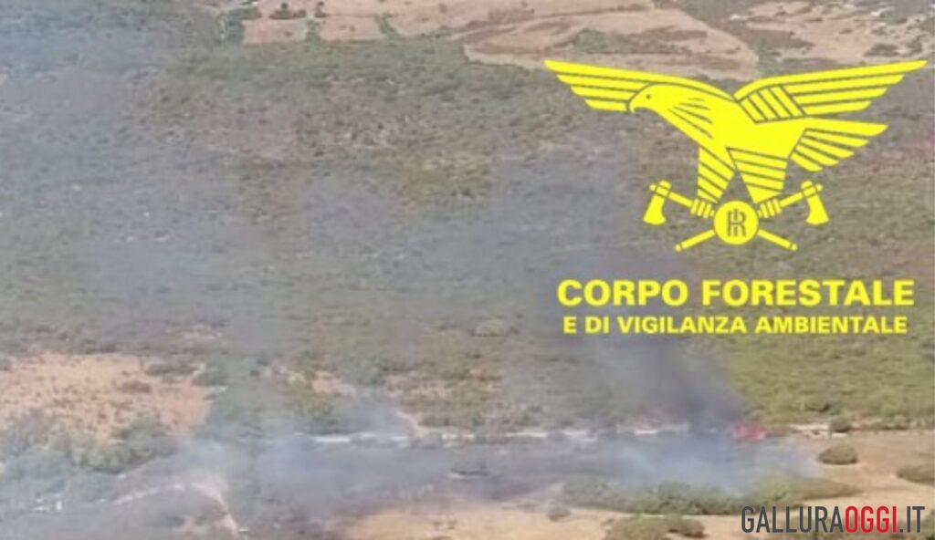 Incendio a Trinità d'Agultu