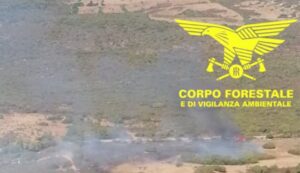 Incendio a Trinità d'Agultu