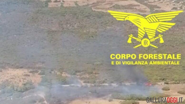 Incendio a Trinità d'Agultu