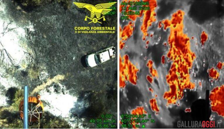 Incendio nelle campagne di Bortigiadas, in azione anche il Super Puma