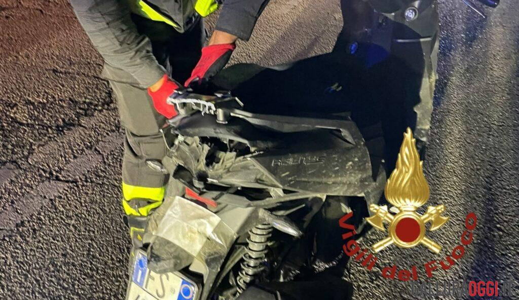 Incidente a Cannigione, moto contro un cinghiale