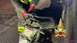 Incidente a Cannigione, moto contro un cinghiale