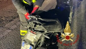 Incidente a Cannigione, moto contro un cinghiale