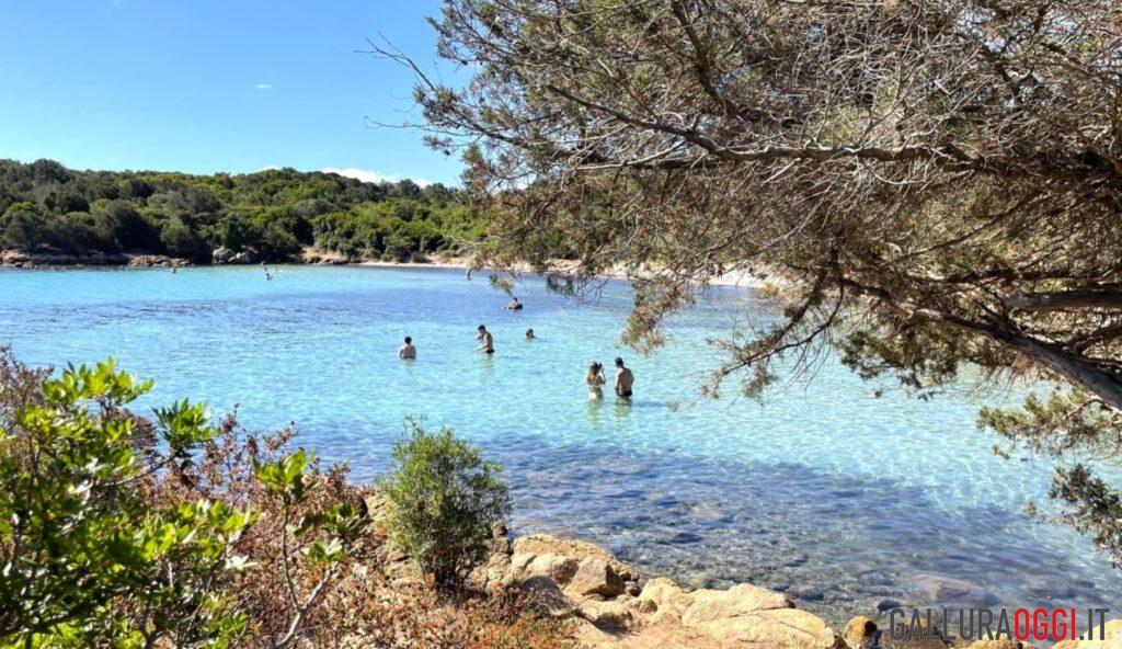 Spiaggia Arzachena