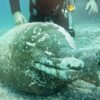 Tre anfore riemergono dal mare di Porto Rotondo