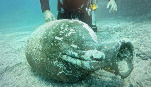 Tre anfore riemergono dal mare di Porto Rotondo