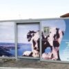 palau isola ecologica rifiuti