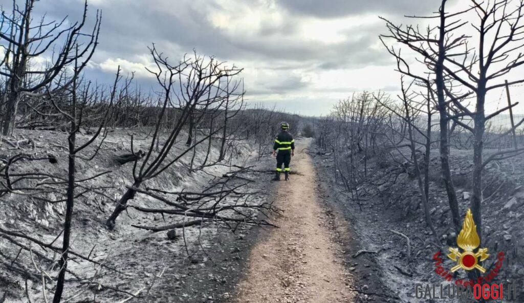 Incendio Santa Maria La Maddalena sardegna