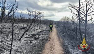 Incendio Santa Maria La Maddalena sardegna
