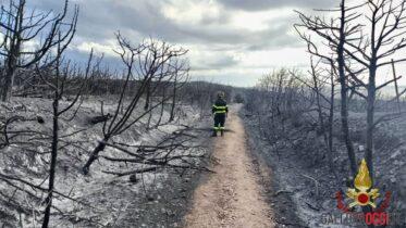 Incendio Santa Maria La Maddalena sardegna