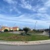 rotatoria moneta ulivi la maddalena