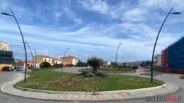 rotatoria moneta ulivi la maddalena