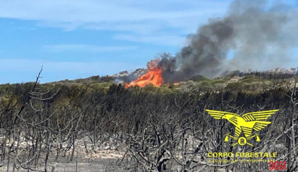 Riparte l'incendio a Santa Maria a La Maddalena, in azione i Canadair