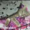 gatto olbia