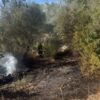 incendio arzachena monticanaglia