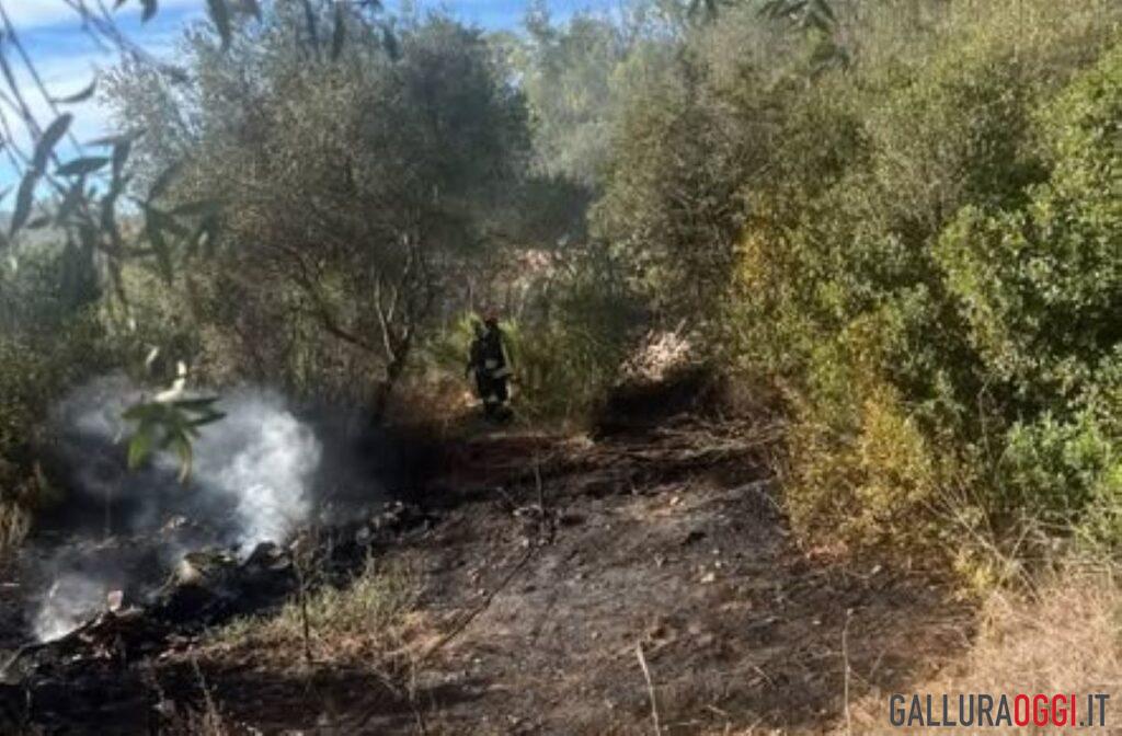 incendio arzachena monticanaglia