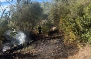 incendio arzachena monticanaglia