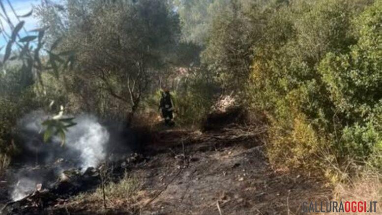 incendio arzachena monticanaglia