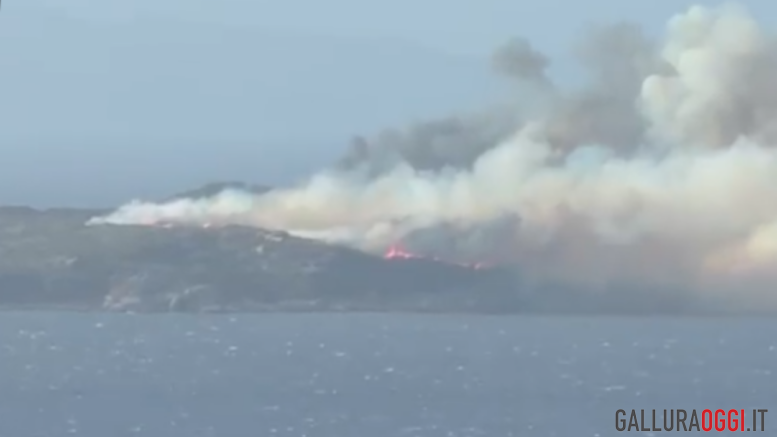 incendio isola santa maria la maddalena