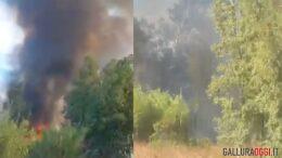 incendio olbia