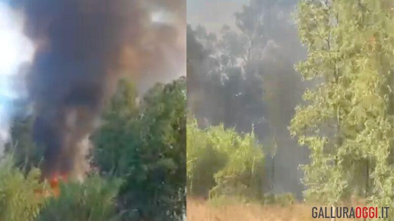incendio olbia