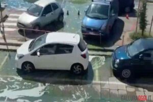 Gasolio a la maddalena
