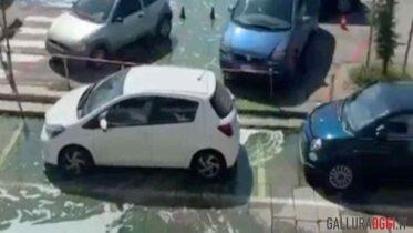 Gasolio a la maddalena