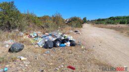 rifiuti abbandonati a olbia