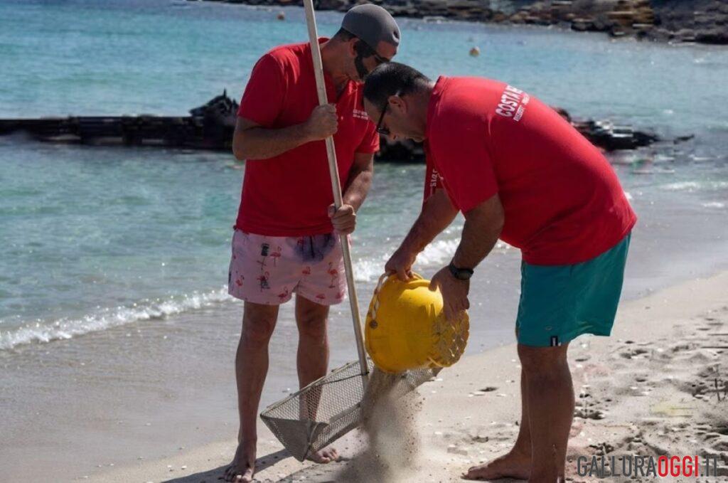 sabbia spiaggia relitto caprera recupero