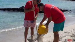 sabbia spiaggia relitto caprera recupero