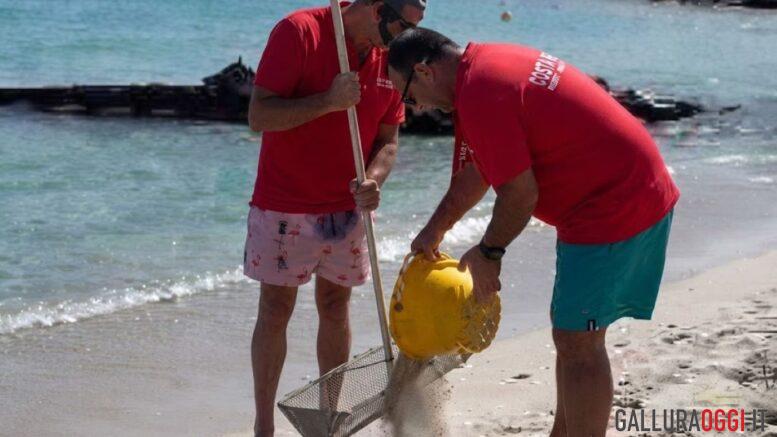 sabbia spiaggia relitto caprera recupero