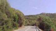 strada statale 133 di palau