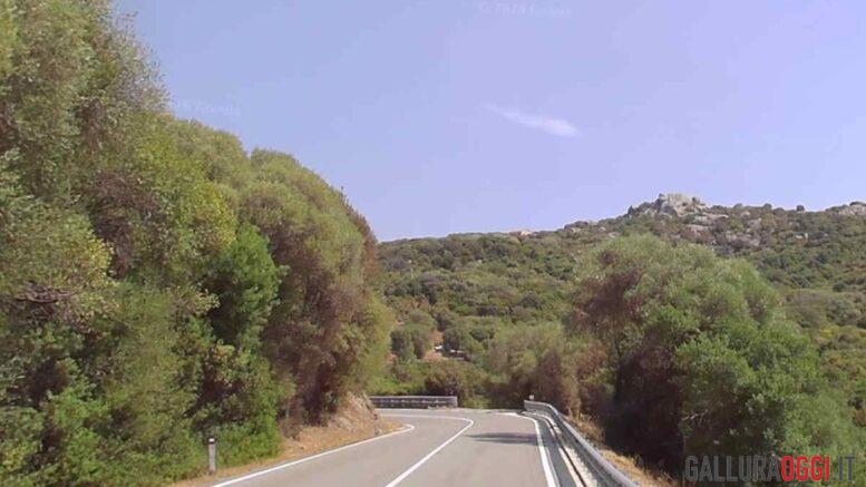 strada statale 133 di palau